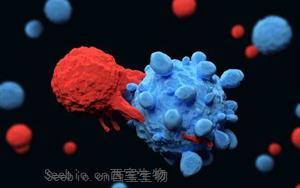 破坏单个基因可以改善CAR-T<font color='red'>细胞免疫</font>疗法