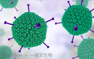 腺病毒抗原（HAdV）-免疫层析（胶体金及彩色乳胶）解决方案
