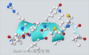 “繁花”盛开，细数多肽药物的星辰大海