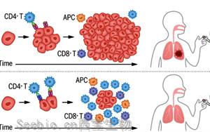 Science：<font color='red'>免疫</font>系统的遗传变异参与了肺癌的<font color='red'>免疫</font>监视