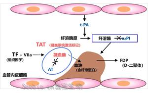 纤溶酶-α2纤溶酶抑制物复合物（PIC）-磁微粒化学发光法 （吖啶酯）解决方案