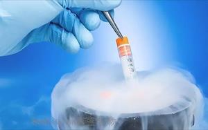 DMSO|细胞实验中的通用冻存保护剂