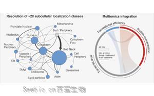 Cell：首次在整个细胞周期中跟踪生物体的所有蛋白质