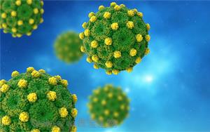 Cell揭示一种前所未见的机制：乙型肝炎的致命弱点