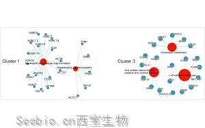 蛋白质组学研究发现重症<font color='red'>COVID-19</font>的血浆标志物