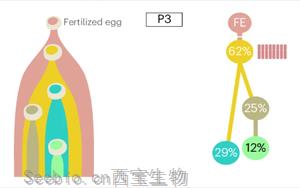 Nature Biotechnology：精确测量癌症的进化，定义分析肿瘤基因组成的最佳算法