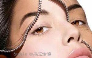 美白神器大合集，化妆品原料里的亮肤达人