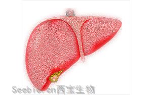 Science子刊：在肿瘤中发现的微蛋白是开发癌症疫苗的关键