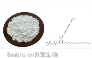 氢化卵磷脂功效及应用场景