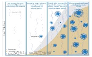 《Nature Neuroscience》阿尔茨海默病不仅仅是神经元 《Nature Neuroscience》阿尔茨海默病不仅仅是神经元