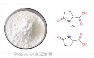 肌肤守护者吡咯烷酮羧酸锌：保湿、控油、抗痘三合一