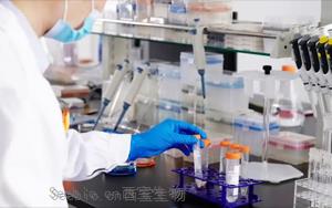 酶免疫测定法（EIA）常用原辅料解析