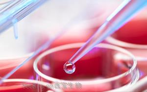Seebio优选无血清细胞培养基原料及常用添加剂