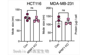Nature Cancer：肿瘤细胞分泌的EV-DNA作为一种“危险”信号，促进抗转移性免疫反应