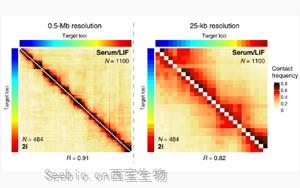 Science子刊：距离较远的DNA区域之间的近距离接触会引起<font color='red'>基因</font>活动的爆发！