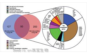 PNAS：万万没想到，结核杆菌自己提供促进空气<font color='red'>传播</font>的基因