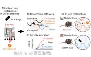 Nature子刊：一些肠道细菌可能会降低某些药物的效果！