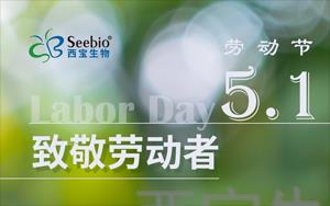 五一劳动节<font color='red'>放假通知</font>|致敬不凡 礼赞平凡