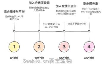 透明质酸<font color='red'>酶</font>在医美里藏着啥惊喜
