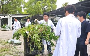 <font color='red'>五月劳作</font>培沃土 并蒂同心绽新荣