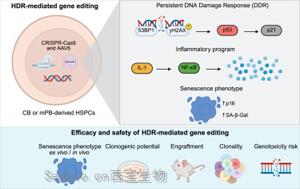 《Cell Reports Medicine》惊！基因编辑会触发造血干细胞的炎症、衰老样反应