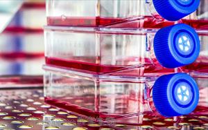 生物制药与疫苗生产中的细胞培养全流程解决方案