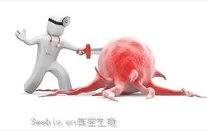 双靶点mTORC1/2抑制剂onatasertib联合PD-1抗体toripalimab治疗晚期实体瘤的多中心I/II期临床研究