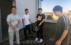 西宝夏日清扫大作战 劳作淬炼同心桥