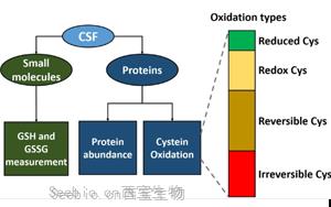 脑脊液中<font color='red'>谷胱甘肽</font>氧化作为肌萎缩侧索硬化症氧化应激的生物标志物研究