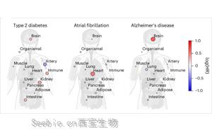 血浆蛋白质组学揭示脑与免疫系统衰老与健康寿命及长寿的关联机制