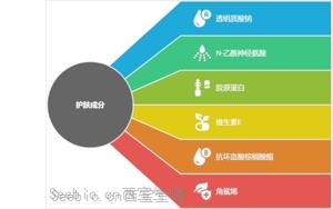 护肤新趋势：高效功能食品原料助力肌肤