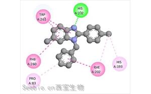 组蛋白去乙酰化酶6通过去乙酰化与泛素化修饰ATG3调控自噬的新机制