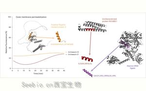 Nature子刊：<font color='red'>人工智能</font>在古代微生物中发现新抗生素