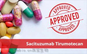 靶向TROP-2抗体偶联药物sacituzumab tirumotecan联合PD-L1抑制剂tagitanlimab一线治疗晚期非小细胞肺癌的II期临床研究取得突破性进展