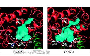 靶向COX-1-PGE2-EP2R轴：<font color='red'>阿尔茨海默</font>病神经炎症调控的新策略与转化前景