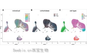 工程化细胞外囊泡（ILB-202）抑制NF-κB的安全性与抗炎作用：一项双盲、随机、安慰剂对照的I期临床试验