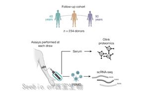 Nature:随着年龄增长,免疫细胞如何发生变化? Nature:随着年龄增长,免疫细胞如何发生变化?