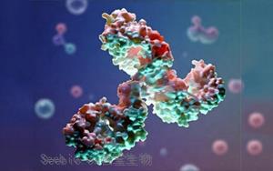 糖基化分析在生物制药中的应用