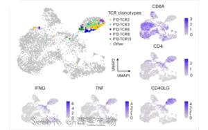 <font color='red'>靶向</font>DNAJ-PKAc融合蛋白的肽疫苗联合免疫检查点抑制剂治疗纤维板层型肝癌的Ⅰ期临床试验研究 <font color='red'>靶向</font>DNAJ-PKAc融合蛋白的肽疫苗联合免疫检查点抑制剂治疗纤维板层型肝癌的Ⅰ期临床试验研究