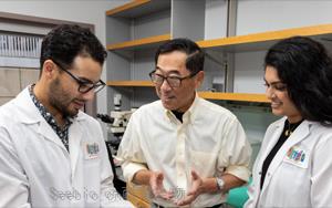 斯坦福大学新细胞疗法治愈了小鼠的1型糖尿病