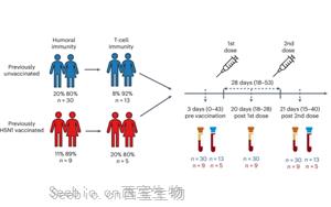 《自然微生物学》:H5N8禽<font color='red'>流感疫苗</font>可产生强烈的免疫反应 《自然微生物学》:H5N8禽<font color='red'>流感疫苗</font>可产生强烈的免疫反应