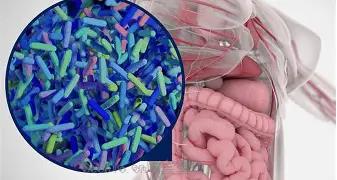 基因特异性选择清除现象在人类肠道微生物组中普遍存在