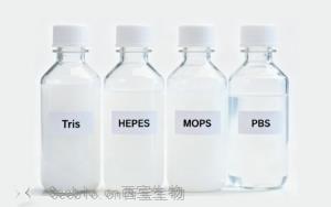 西宝缓冲液系列：为生物药提供<font color='red'>pH解决方案</font>