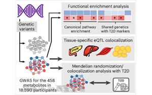 循环代谢物、遗传与生活方式因素在2型糖尿病未来风险中的综合作用研究 循环代谢物、遗传与生活方式因素在2型糖尿病未来风险中的综合作用研究