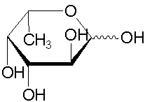L-岩藻糖，试剂级，≥ 99%