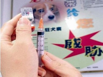 地鼠肾细胞培养狂犬病疫苗生产的解决方案
