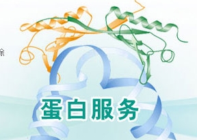 蛋白表达与纯化<font color='red'>技术服务</font>-优选服务商-西宝生物