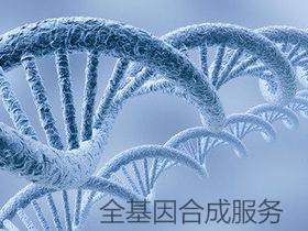 基因合成|质粒构建|点突变|西宝生物-专业技术服务