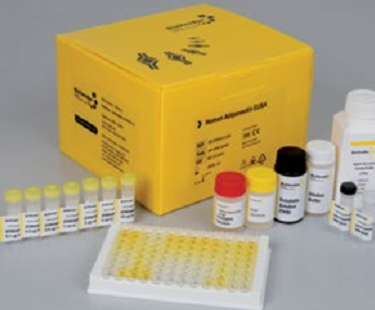 Cystatin C Canine Elisa, 犬胱抑素C Elisa Kit