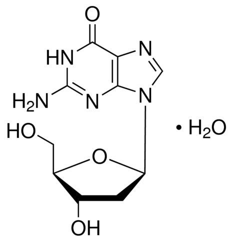 <font color='red'>2′-脱氧鸟苷</font>